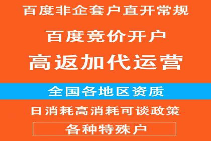 竞价推广策略：某电商平台的成功之路